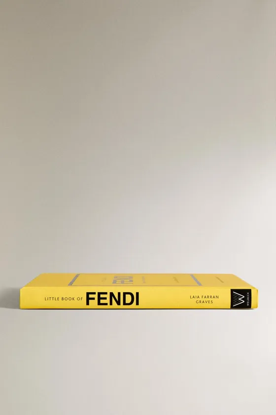 маленькая книжечка от fendi book