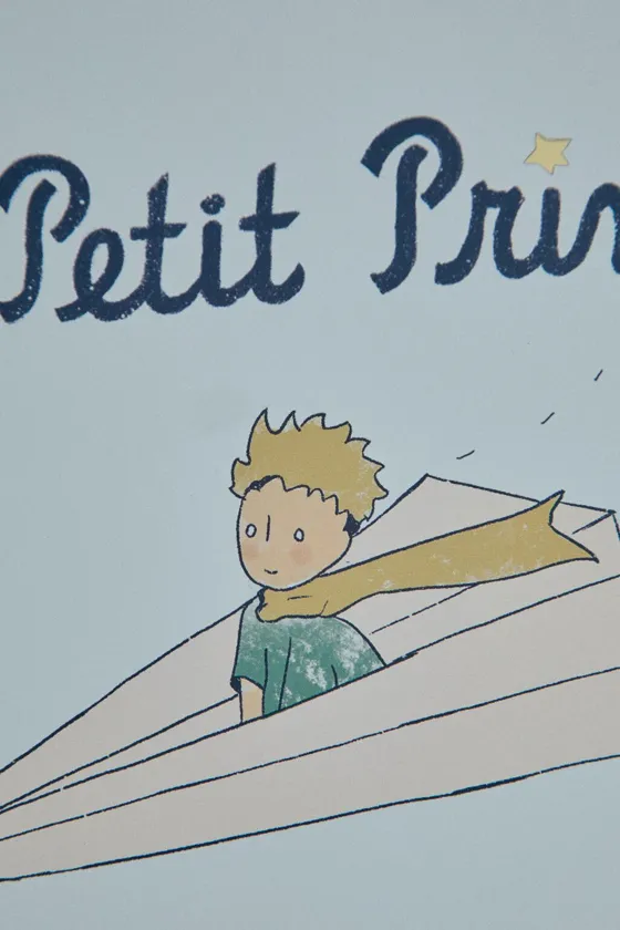 металлическая шкатулка le petit prince