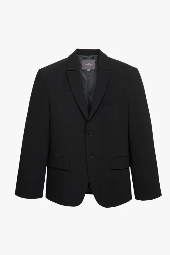 блейзер от stefano pilati x zara suit