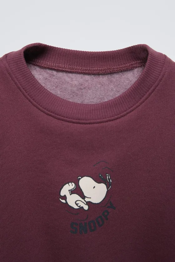 ТОЛСТОВКА С ВЫШИВКОЙ SNOOPY PEANUTS™